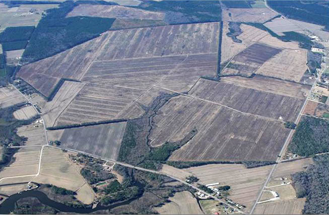 Hell Swamp